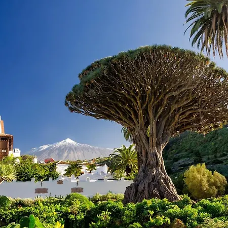 Eden Costa Boho 2 * 拉斯加莱塔斯